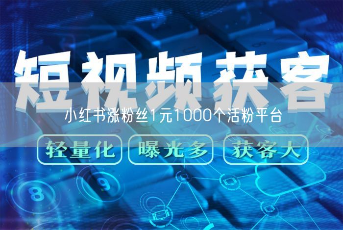 小红书涨粉丝1元1000个活粉平台