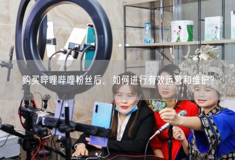 购买哔哩哔哩粉丝后，如何进行有效运营和维护？