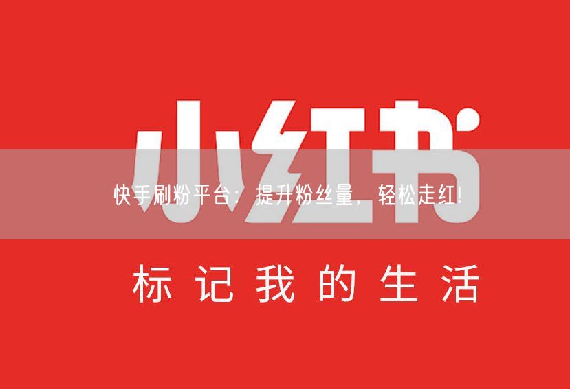 快手刷粉平台：提升粉丝量，轻松走红!