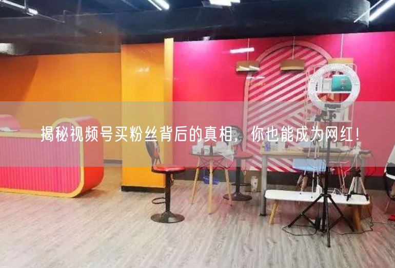 揭秘视频号买粉丝背后的真相，你也能成为网红！