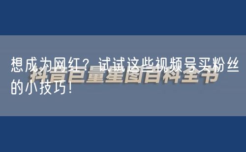 想成为网红？试试这些视频号买粉丝的小技巧！