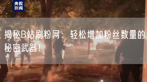 揭秘B站刷粉网：轻松增加粉丝数量的秘密武器！