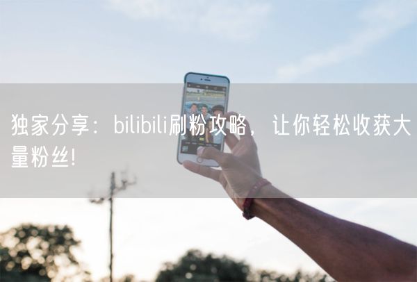 独家分享：bilibili刷粉攻略，让你轻松收获大量粉丝!