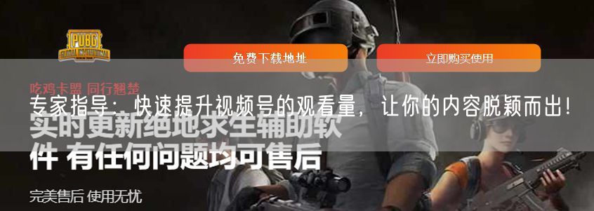 专家指导：快速提升视频号的观看量，让你的内容脱颖而出！
