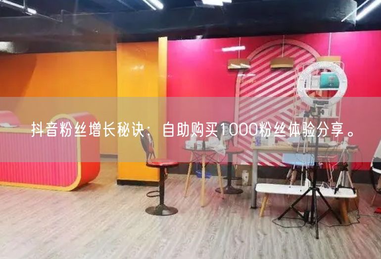 抖音粉丝增长秘诀：自助购买1000粉丝体验分享。