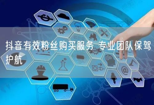 抖音有效粉丝购买服务 专业团队保驾护航