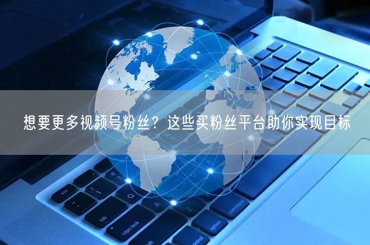 想要更多视频号粉丝？这些买粉丝平台助你实现目标