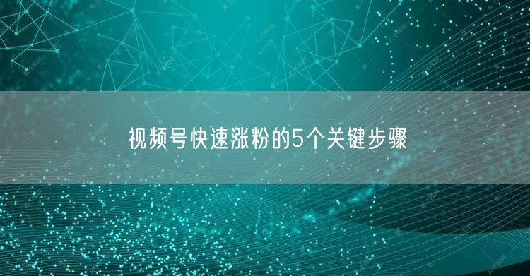 视频号快速涨粉的5个关键步骤